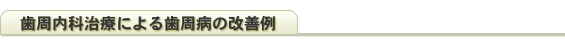 歯周内科治療による歯周病の改善例