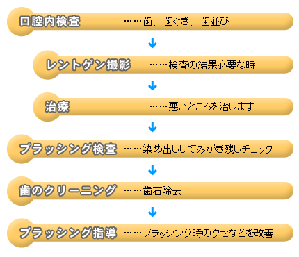 定期管理の内容