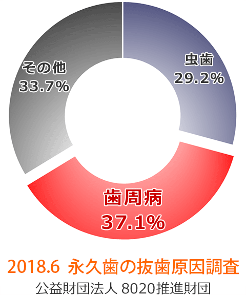 2018年6月 永久歯の抜歯原因調査